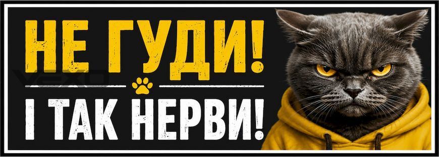 Наклейка на авто 25 &times; 10 см Не гуди і так нерви вінілова, водостійка NB00201 фото