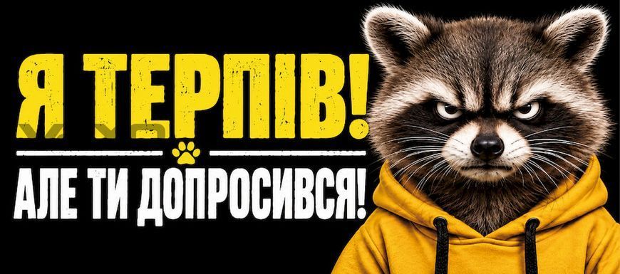 Магнітна наклейка на авто 25 &times; 10 см Я терпів Але ти допросився вінілова, водостійка NB03801-M фото