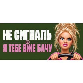Магнитная наклейка на авто 25&times;10 см Не сигналь Я тебя уже вижу виниловая, водостойкая NB05101-M фото